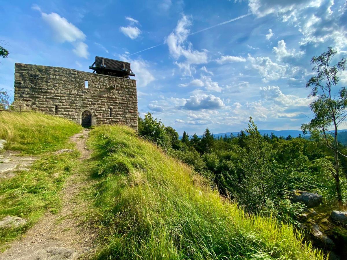 Ferienwohnung Oxana Im Naturpark Fichtelgebirge Schonwald  Zewnętrze zdjęcie