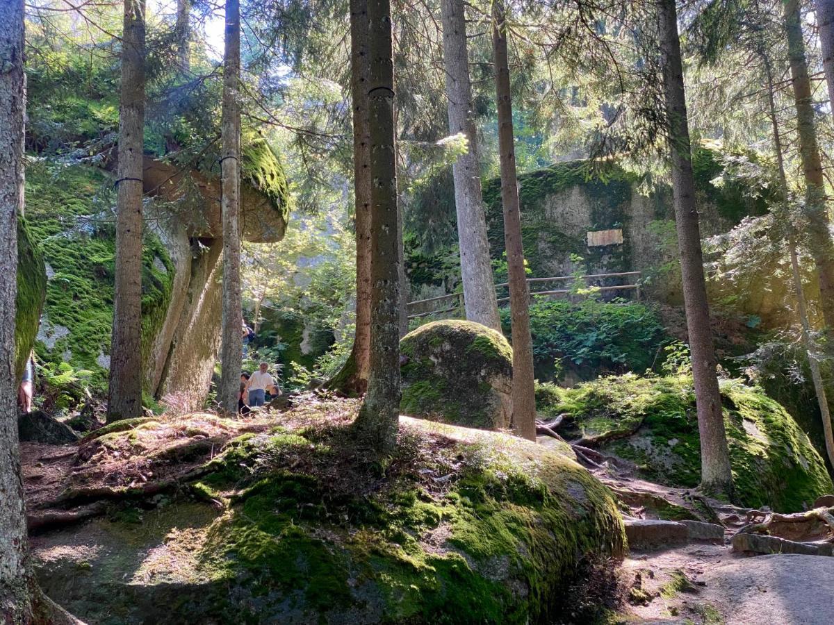 Ferienwohnung Oxana Im Naturpark Fichtelgebirge Schonwald  Zewnętrze zdjęcie