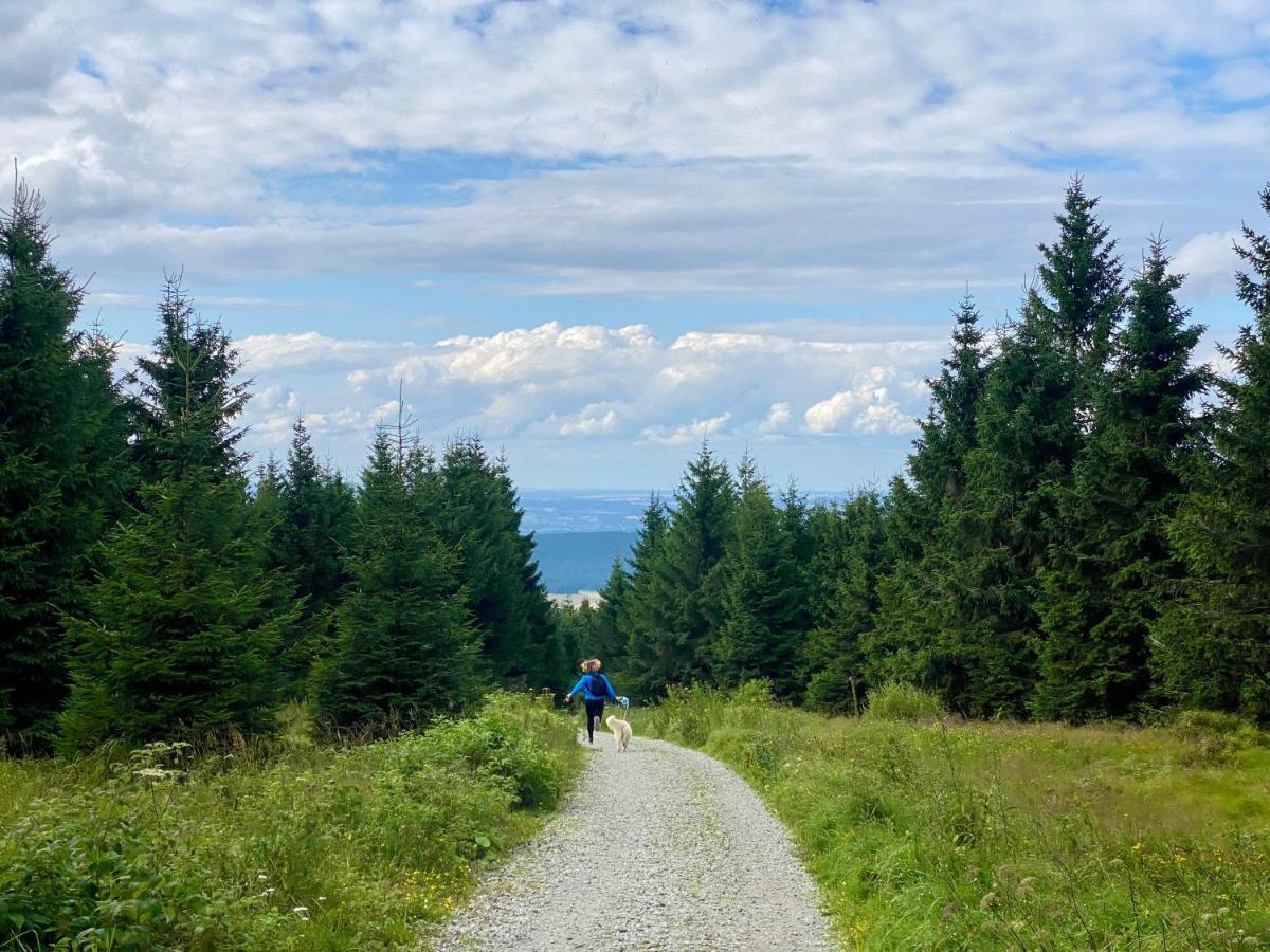 Ferienwohnung Oxana Im Naturpark Fichtelgebirge Schonwald  Zewnętrze zdjęcie