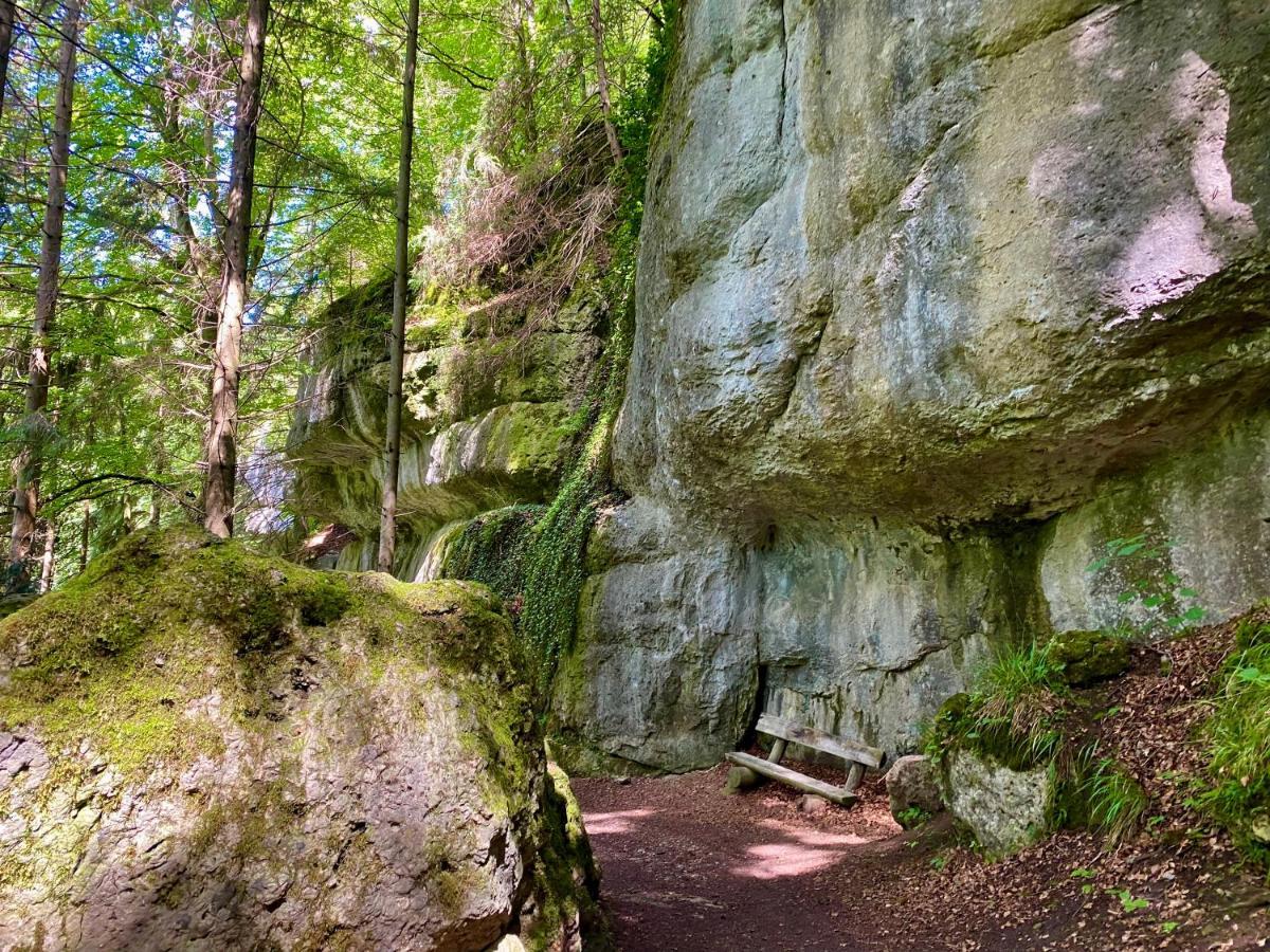 Ferienwohnung Oxana Im Naturpark Fichtelgebirge Schonwald  Zewnętrze zdjęcie