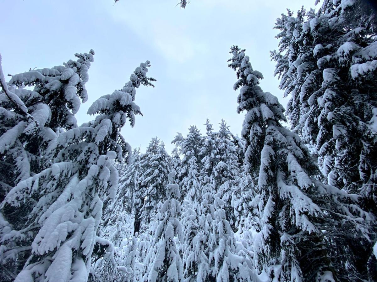 Ferienwohnung Oxana Im Naturpark Fichtelgebirge Schonwald  Zewnętrze zdjęcie