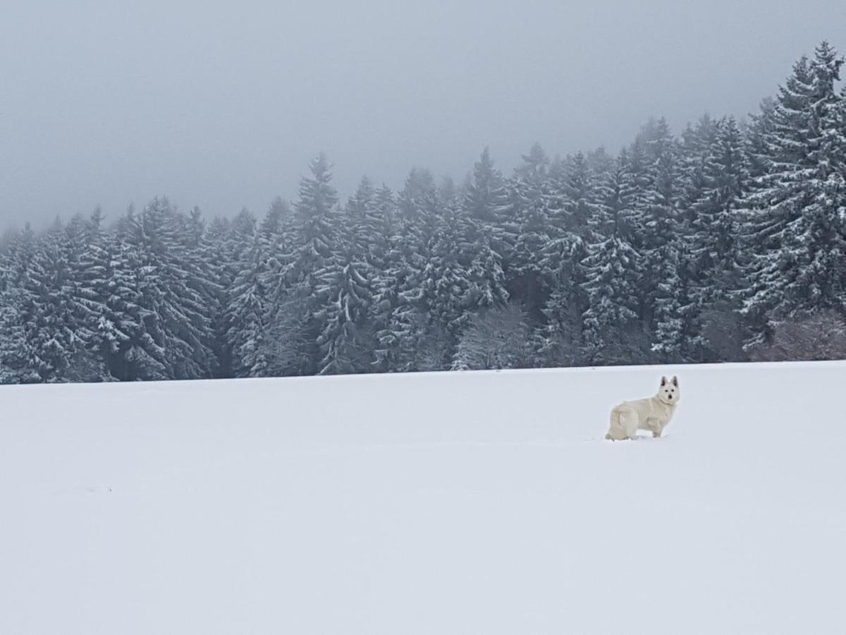 Ferienwohnung Oxana Im Naturpark Fichtelgebirge Schonwald  Zewnętrze zdjęcie