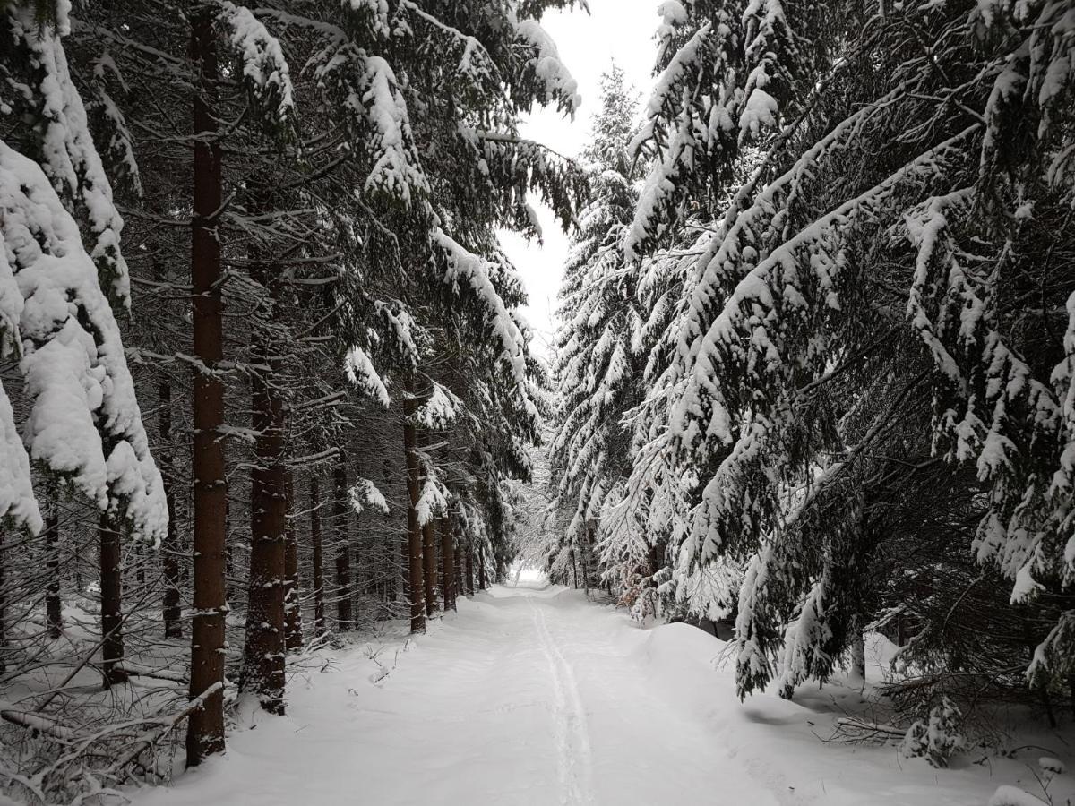 Ferienwohnung Oxana Im Naturpark Fichtelgebirge Schonwald  Zewnętrze zdjęcie