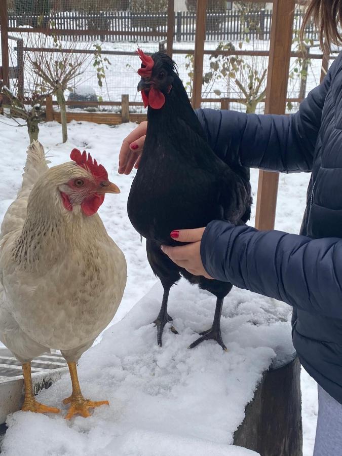 Ferienwohnung Oxana Im Naturpark Fichtelgebirge Schonwald  Zewnętrze zdjęcie